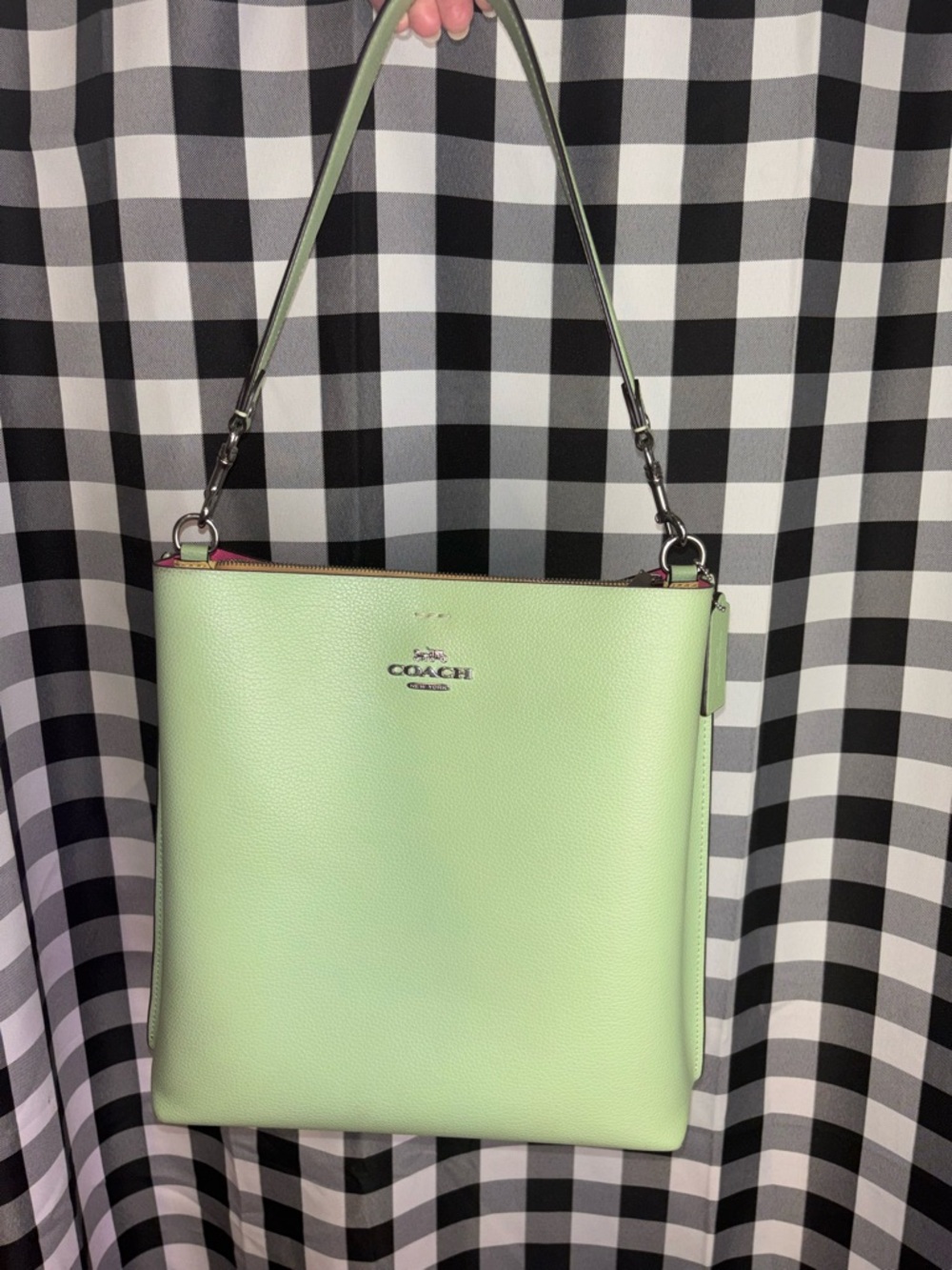 Coach Mollie Pale Pistachio Leather Bucket Bag 2023